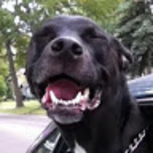 Meet your Posher, Christy